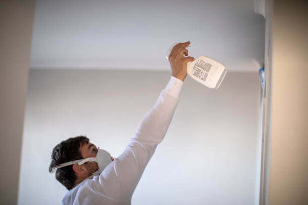 Best Office Mold Removal Services  in Hebron, IN