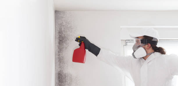 Crawl Space Mold Removal in Hebron, IN