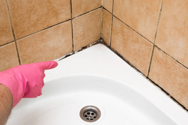 Best Professional Mold Removal  in Hebron, IN